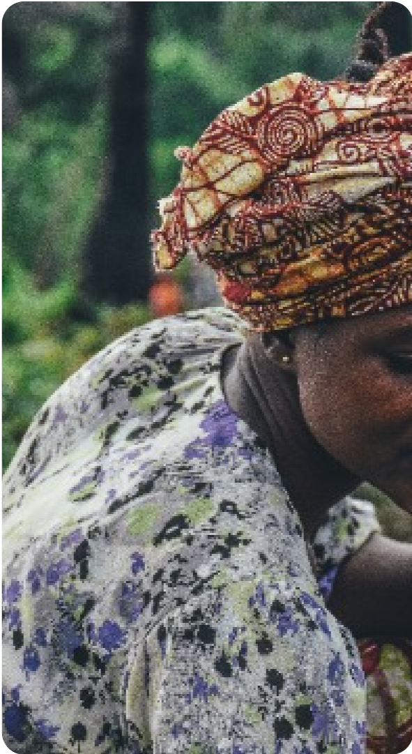 Constituency project image 6